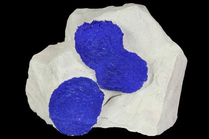 Blue Azurite Sun Cluster on Siltstone - Australia #142781